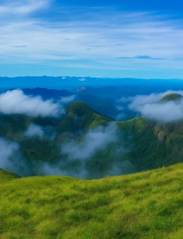 Palakkayam Thattu